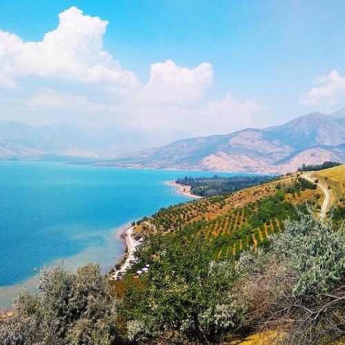 Photo #4525024