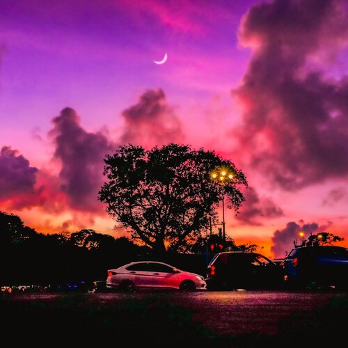 Photo #4525090