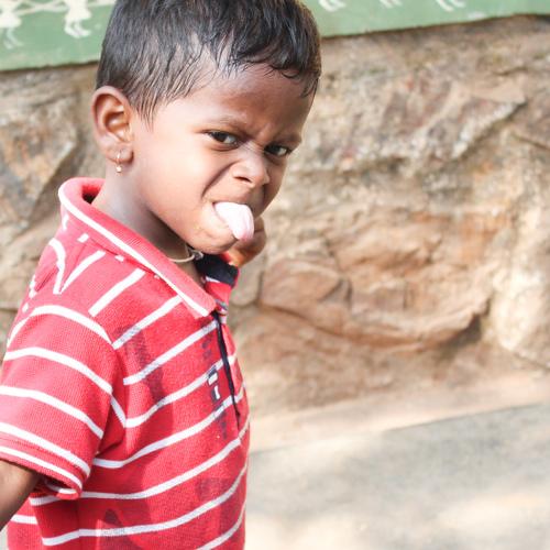 Photo #4525306