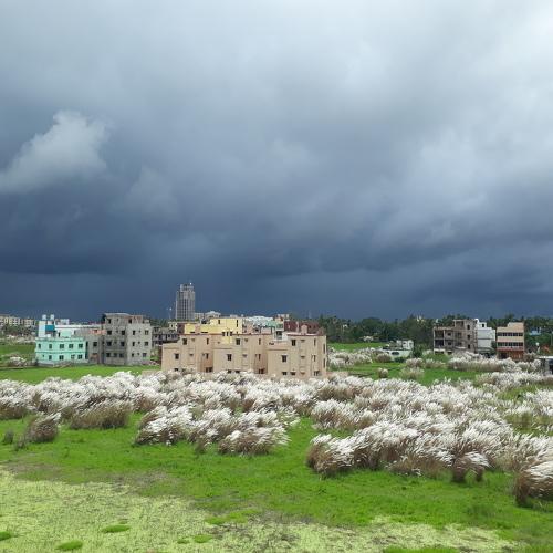 Photo #4525589