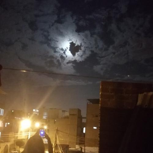 Photo #4525984