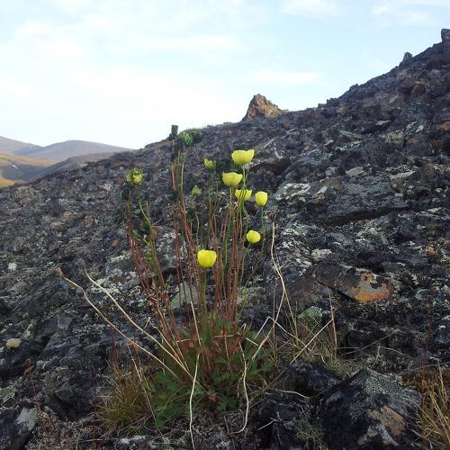 Photo #4526206