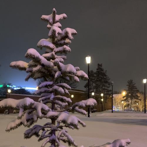 Photo #4526250