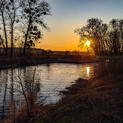 Photo #4526785