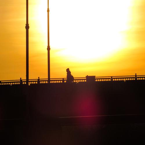 Photo #4526786