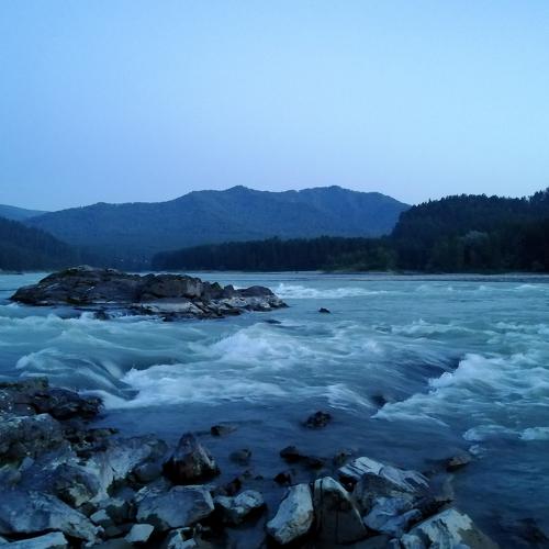 Photo #4527481