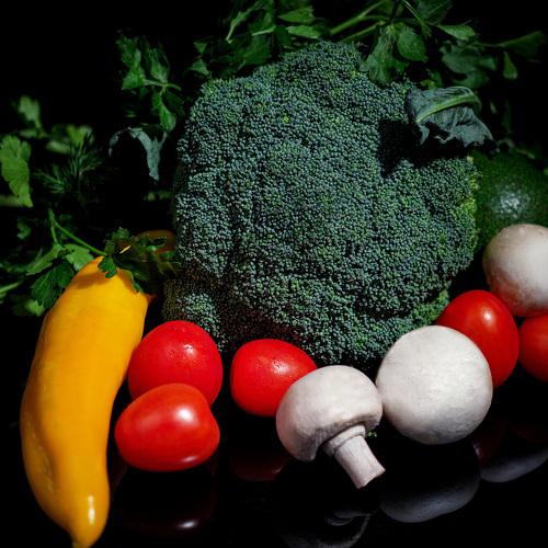 Photo #4527841