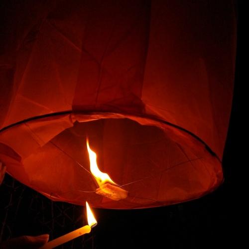 Photo #4527855