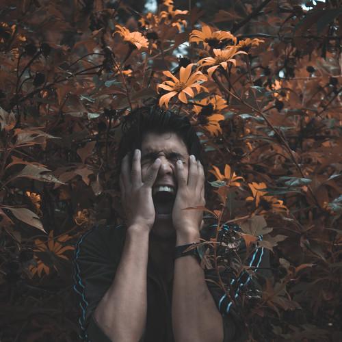 Photo #4528077