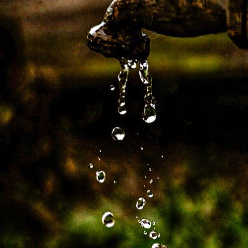 Photo #4528324