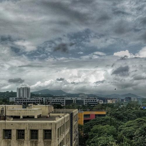 Photo #4528429
