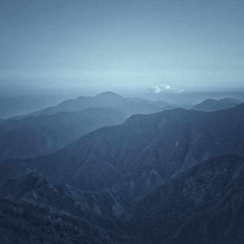 Photo #4528873