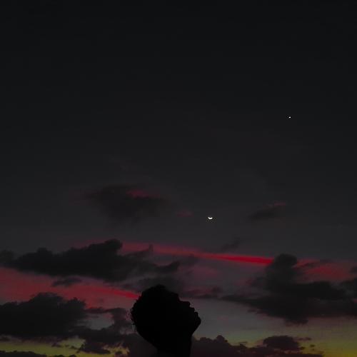 Photo #4528989