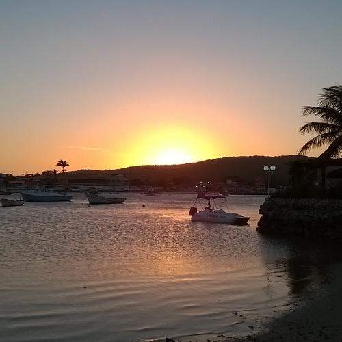 Photo #4529100