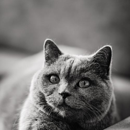 Фотография #4529459