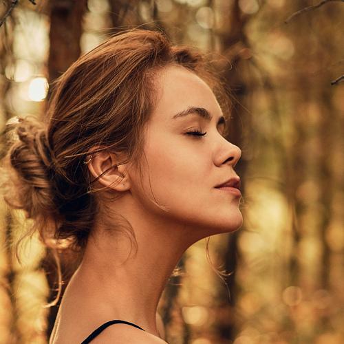 Photo #4529535