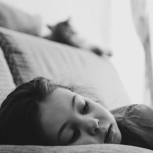 Photo #4530355
