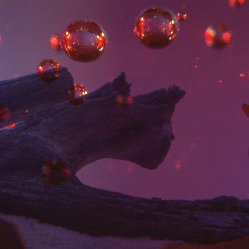 Aenigma