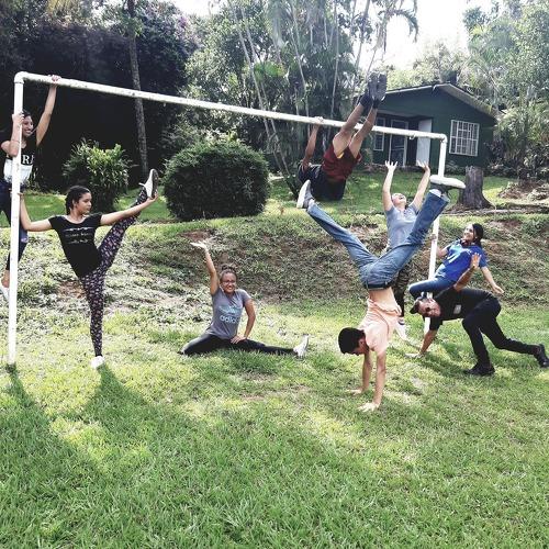 Photo #4530769