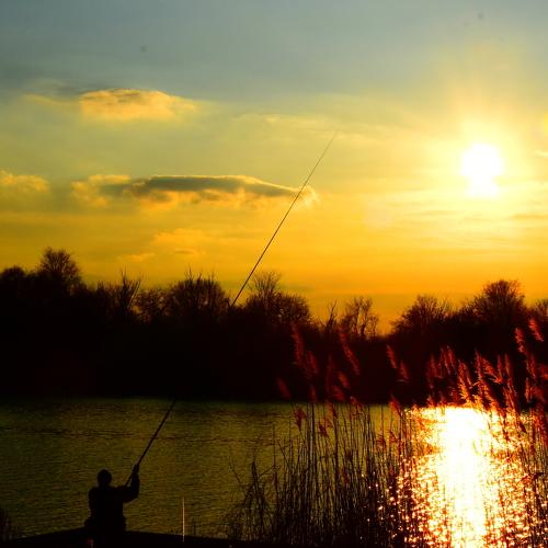 Photo #4530919