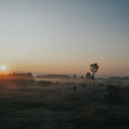 Photo #4531099