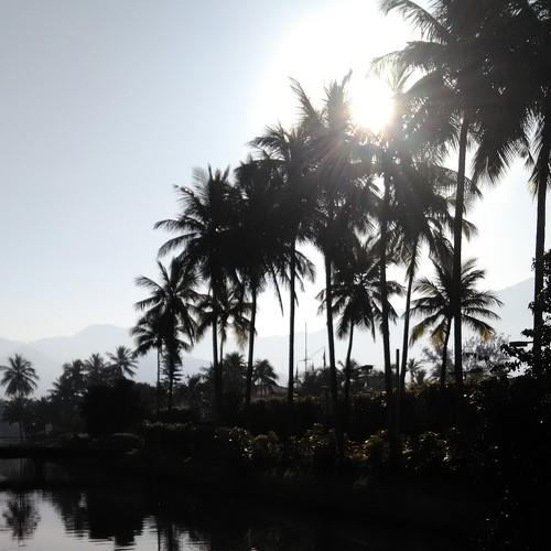 Photo #4531161