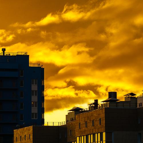 Photo #4531551