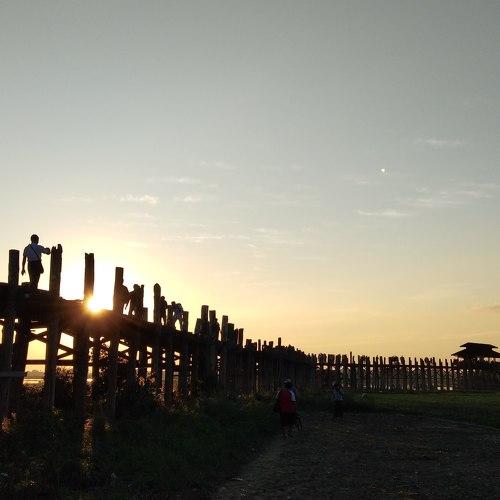 Photo #4531571