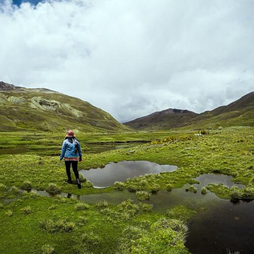 Photo #4532341
