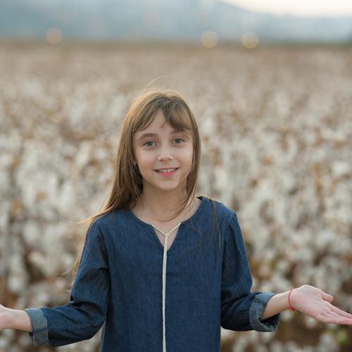 Photo #4532377