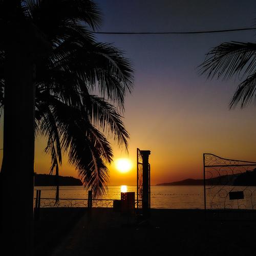 Photo #4532398