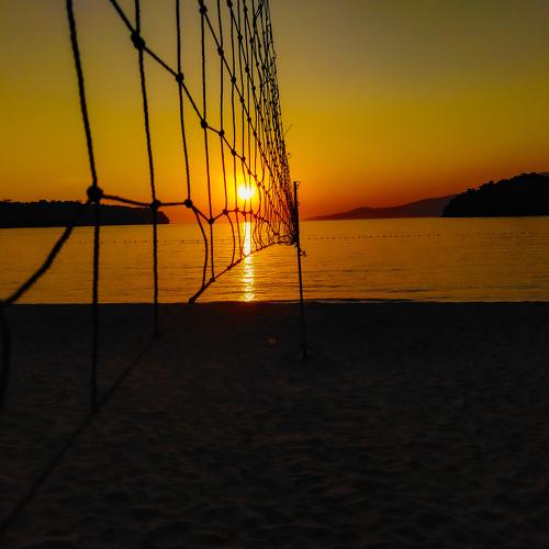 Photo #4532400