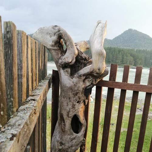 Photo #4532750