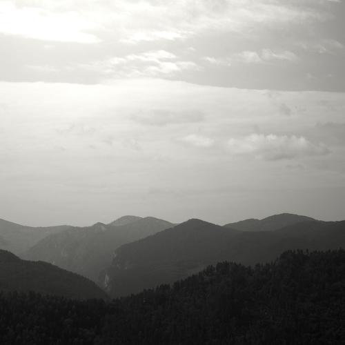 Photo #4532914