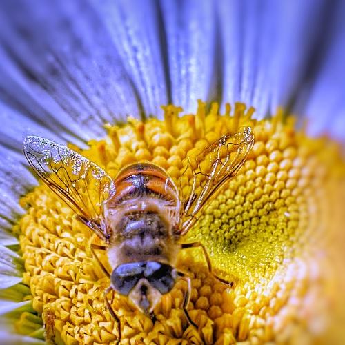 Durante la cuarentena ,la naturaleza se siente más.
