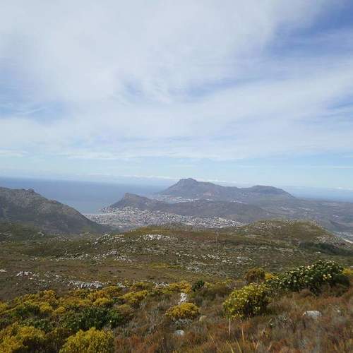 Photo #4533015