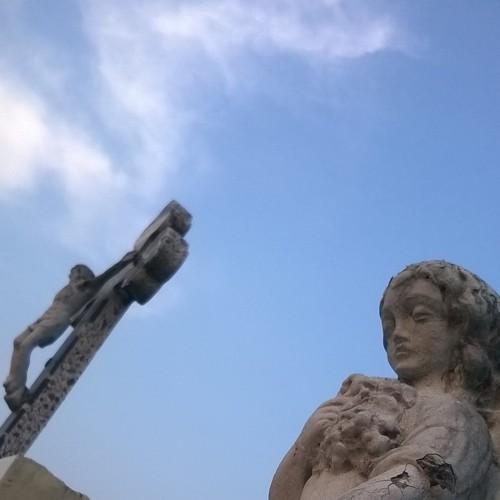 Photo #4533024