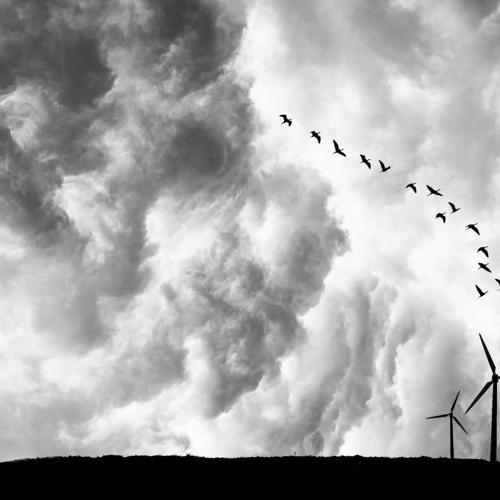Towards freedom
