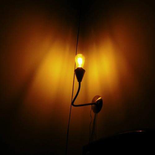 Photo #4533207
