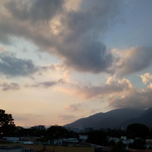 Photo #4533252
