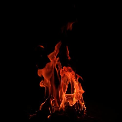 Photo #4533277