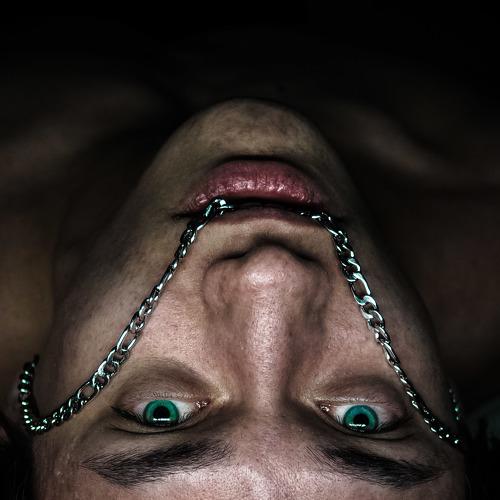 Photo #4533354
