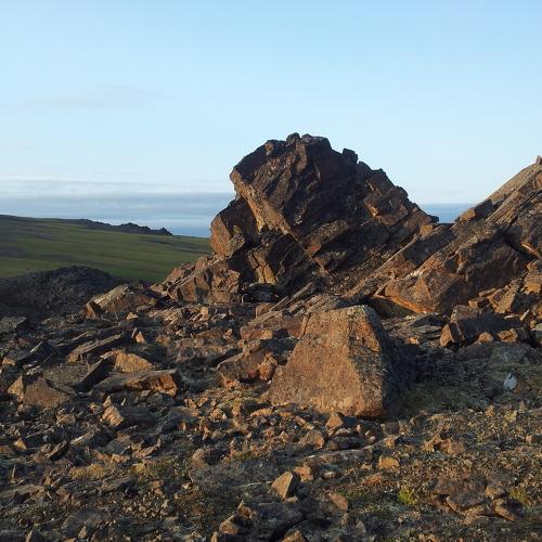 Photo #4533647