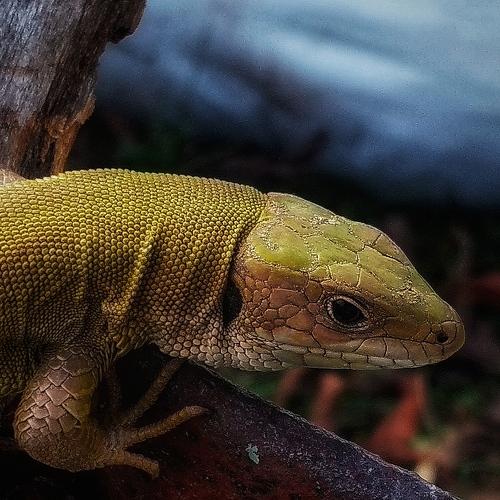 Photo #4533722
