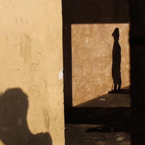 Photo #4534004