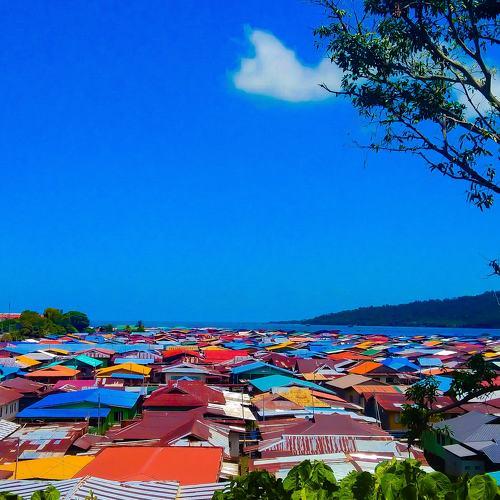 Photo #4534052