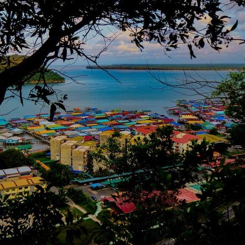 Photo #4534094