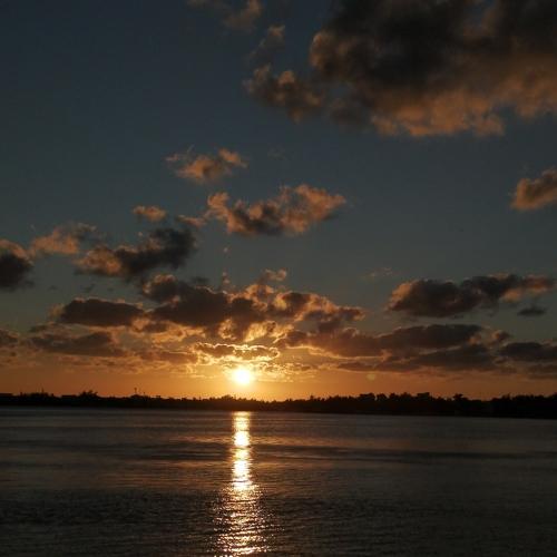 Photo #4534555