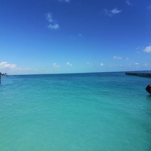 Photo #4534564