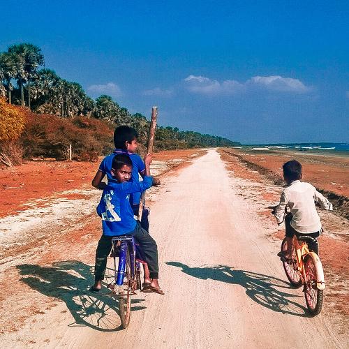 Photo #4534569